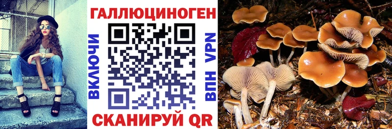 Галлюциногенные грибы MAGIC MUSHROOMS  Купить  Верхний Уфалей 